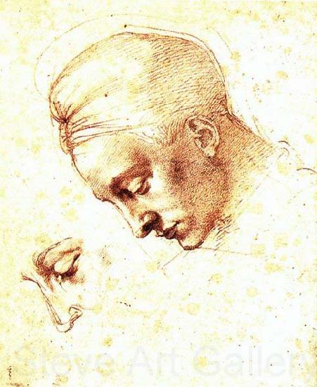 Michelangelo Buonarroti Study of a Head